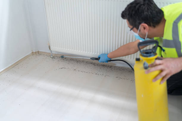 Best Emergency Pest Control  in Navarre, FL