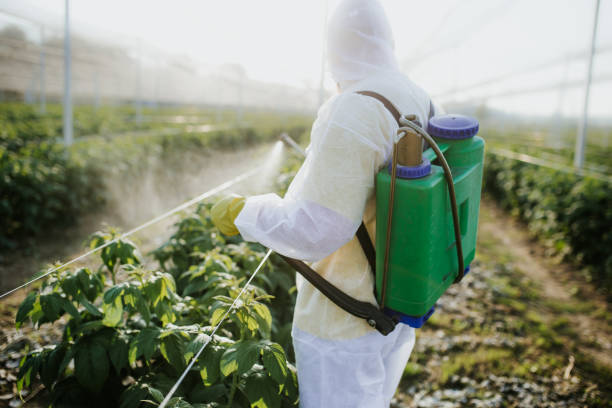 Best Pest Control Near Me  in Navarre, FL